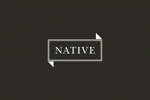 Native logo flash