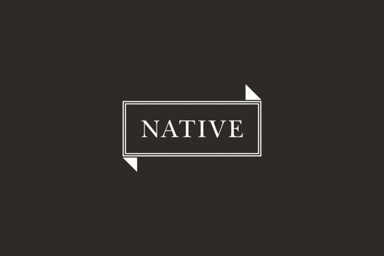 Native logo flash