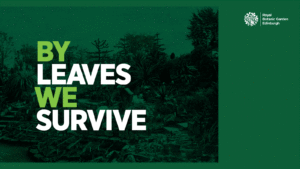 Royal Botanic Garden Edinburgh, arts manifesto